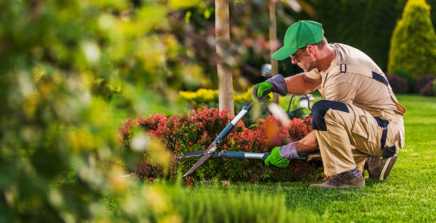 landscapers